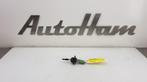 KACHELWEERSTAND Fiat Punto Evo (199) (|55702407|), Gebruikt, Fiat
