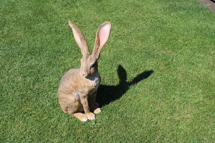 Standbeeld van een levensgrote haas..., Tuin en Terras, Tuinbeelden, Nieuw, Dierenbeeld, Kunststof, Ophalen