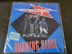 Vinyl single: VanDenBerg (zie foto's), Ophalen of Verzenden, Zo goed als nieuw