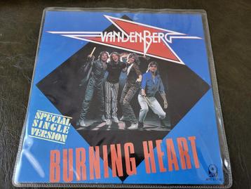 Vinyl single: VanDenBerg (zie foto's) beschikbaar voor biedingen