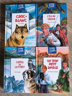 Lot de 4 livres - Club Jeunesse, Ophalen of Verzenden, Gelezen