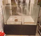 Parc à rongeurs (Namur), Enlèvement