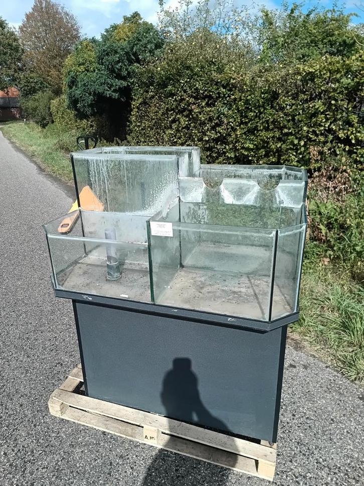 Eiland aquarium opgedeeld in 4 dmv overloop, vissen, koralen, Dieren en Toebehoren, Vissen | Aquaria en Toebehoren, Zo goed als nieuw