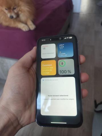iPhone 14 pro maximaal 256 GB beschikbaar voor biedingen