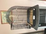 Dwergpapegaai met kooi, Dieren en Toebehoren, Ophalen, Nieuw