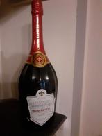 Bouteilles de champagne collection, Enlèvement, Champagne