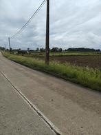 Landbouwgrond op uitstekende locatie, Ventes sans courtier, 1500 m² ou plus