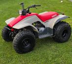 Yamaha breeze, Motoren, Quads en Trikes