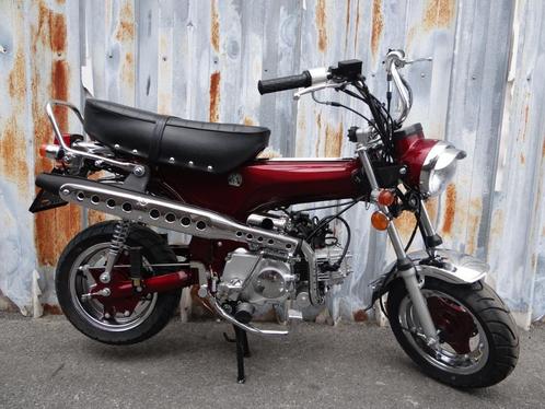 Zhenhua Dax NT | Bordeaux | A of B-Klasse, Fietsen en Brommers, Brommers | Honda, Nieuw, Overige modellen, Ophalen of Verzenden