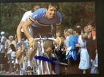 Wielerposter 1981 wk roger de vlaeminck signe, Ophalen of Verzenden