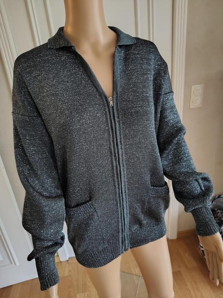 Feestelijk vintage glitters vestje donkergrijs, Kleding | Dames, Truien en Vesten, Ophalen of Verzenden