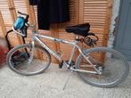 Gigantische zilveren aluminium fiets, Fietsen en Brommers, Ophalen, Gebruikt, Giant, Dames