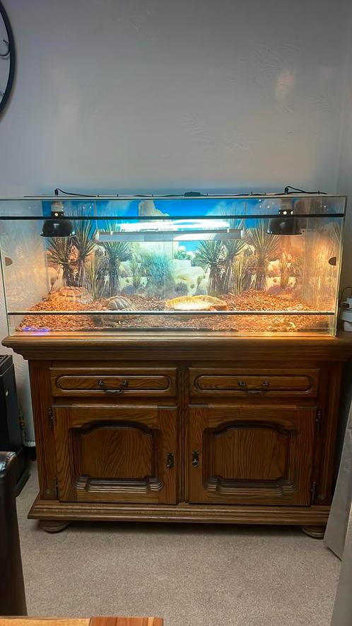 Terrarium avec ou sans les tortues, Dieren en Toebehoren, Reptielen en Amfibieën | Toebehoren, Zo goed als nieuw, Ophalen