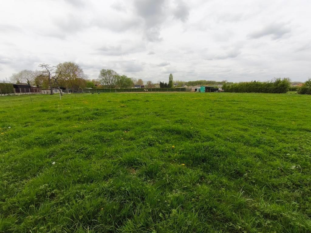 Stallen met weidegang, Dieren en Toebehoren, Weidegang, 2 of 3 paarden of pony's