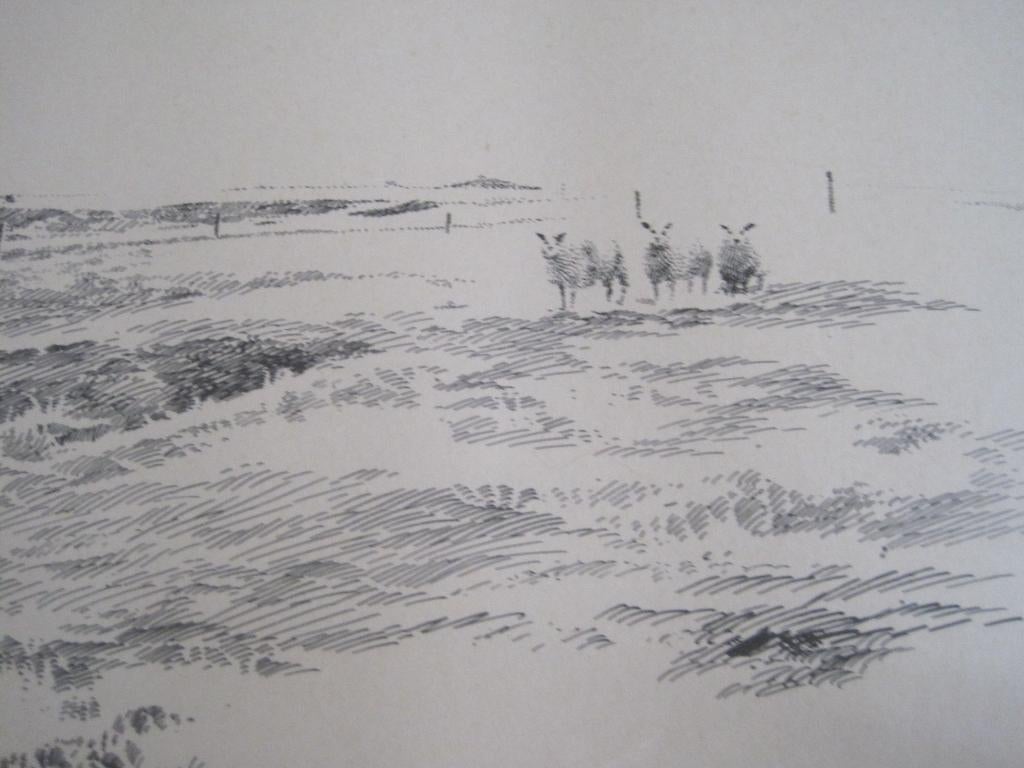 Belle gravure Piet Hohmann, mouton d'Ossendrecht, Enlèvement ou Envoi, Paysage, Eau-forte, Signé