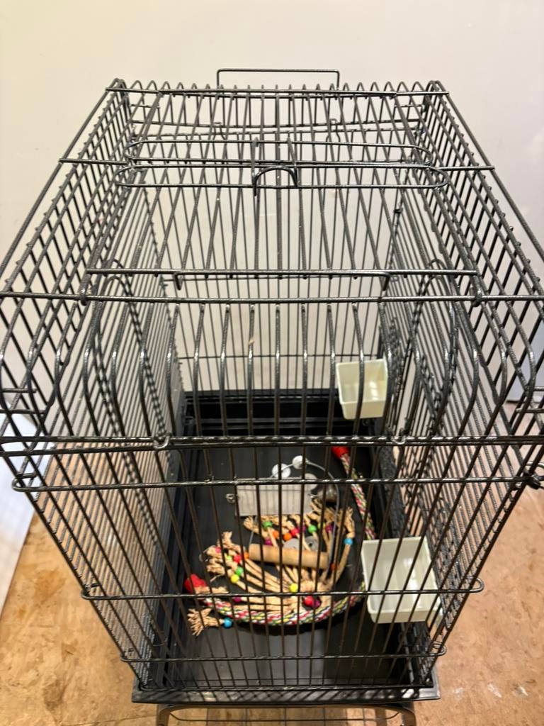 Vogelkooi, Ophalen, Gebruikt, Metaal, Vogelkooi