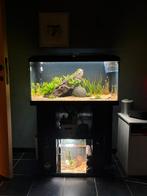 Juwel primo 110+meubel+ externe fiter, Animaux & Accessoires, Poissons | Aquariums & Accessoires, Enlèvement, Comme neuf