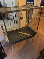 Grote vogelkooi, Ophalen, Zo goed als nieuw, Metaal, Vogelkooi