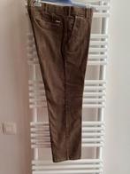 Herenbroek in geribd fluweel, Ophalen of Verzenden, Nieuw, Bruin, Meyer