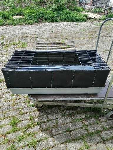 Konijnenhok voor allerlei doeleinden, Januari, Meerdere dieren