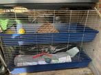 Dubbel konijnenhok, Dieren en Toebehoren, Ophalen, Zo goed als nieuw, Kooi, Konijn