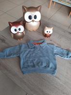 Pull/sweater Hema maat 62, Kinderen en Baby's, Babykleding | Maat 62, Ophalen of Verzenden