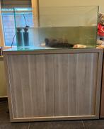 Aquarium en kast met axolotls en chiller, Enlèvement, Comme neuf