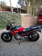 Suzuki inazuma, Motoren, Motoren | Suzuki, Particulier