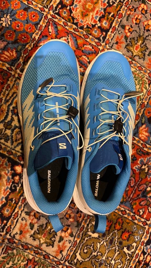 Salomon Sense Ride 5 Contagrip, Sports & Fitness, Course, Jogging & Athlétisme, Enlèvement, Neuf