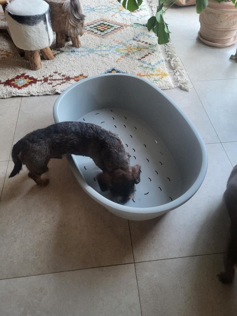 Hondenmand (niet gebruikt), Ophalen, Zo goed als nieuw, Polyester