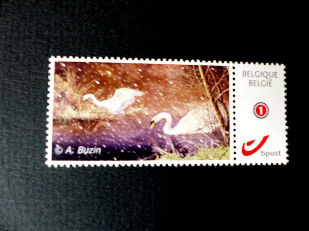 Mystamp / Duostamp Buzin - Vogels : Zwaan MPO (2012), Ophalen of Verzenden, Postfris, Postfris