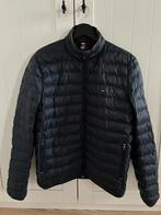 Donsjas Tommy Hilfiger, Ophalen, Zo goed als nieuw, Maat 46 (S) of kleiner