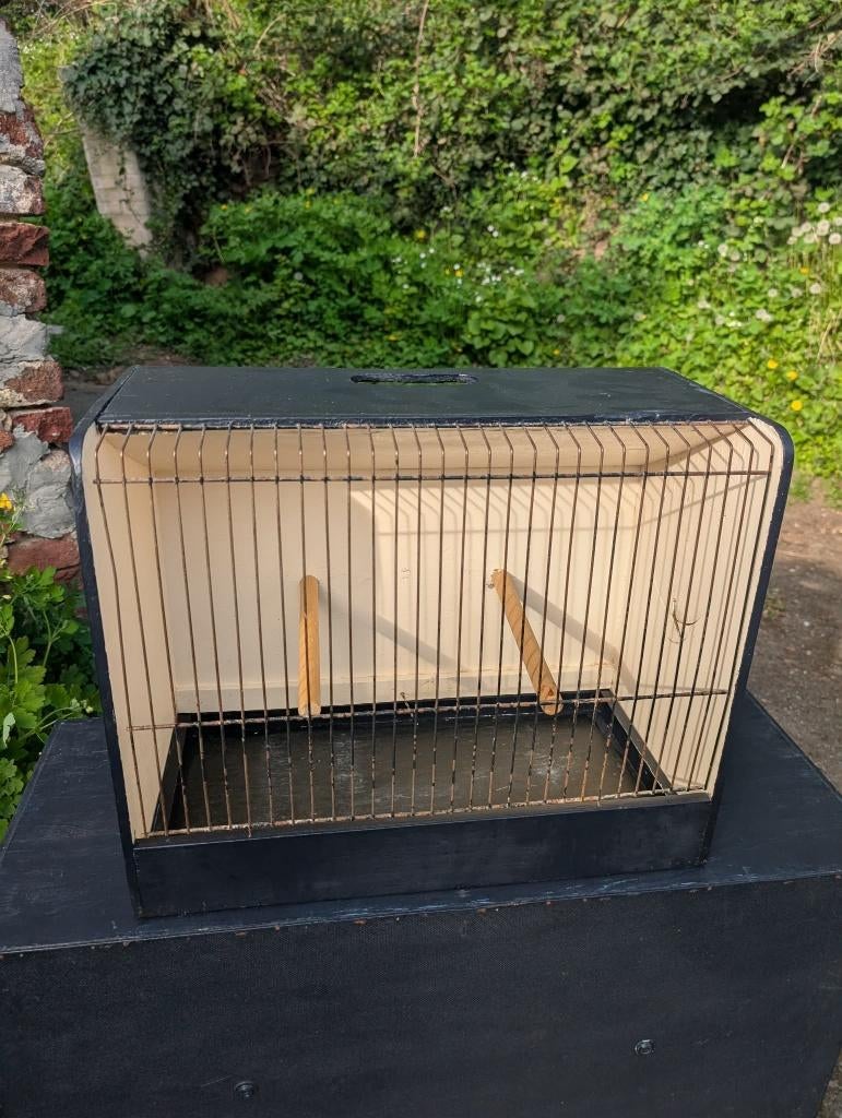 Cage oiseaux, Animaux & Accessoires, Oiseaux | Cages & Volières, Enlèvement, Utilisé, Bois, Cage d'élevage