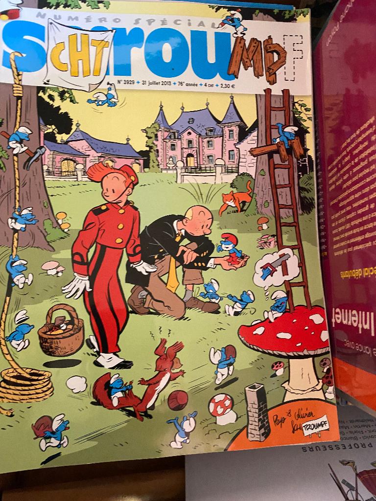 Bd Spirou, Enlèvement