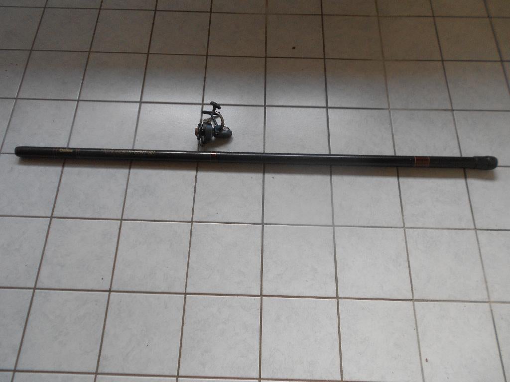 cane à pêche DAIWA neocarbone G 541 - 80 - 8m + moulin, Watersport en Boten, Hengelsport | Algemeen, Ophalen, Zo goed als nieuw