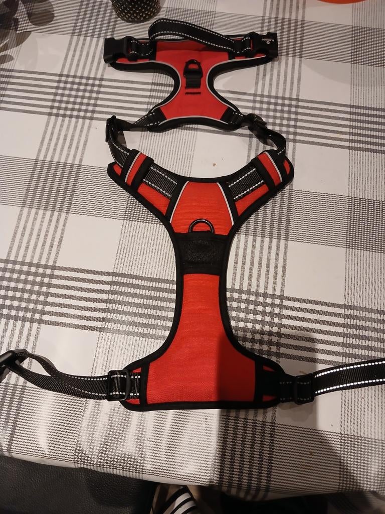 Tuigje voor hond. Maat large, Dieren en Toebehoren, Ophalen of Verzenden