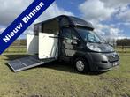Peugeot Boxer Equi-Trek Sonic 2-paards paardenvrachtwagen B-, Gebruikt, Info@hulshof-trading.nl, Overige typen, Hulshof-Trading