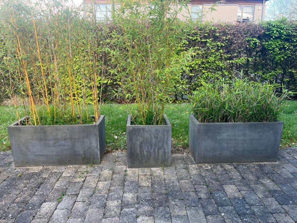 Trois jardinieres de bambou A donner, Jardin & Terrasse, Enlèvement