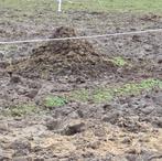 Paardenmest gratis, Ophalen