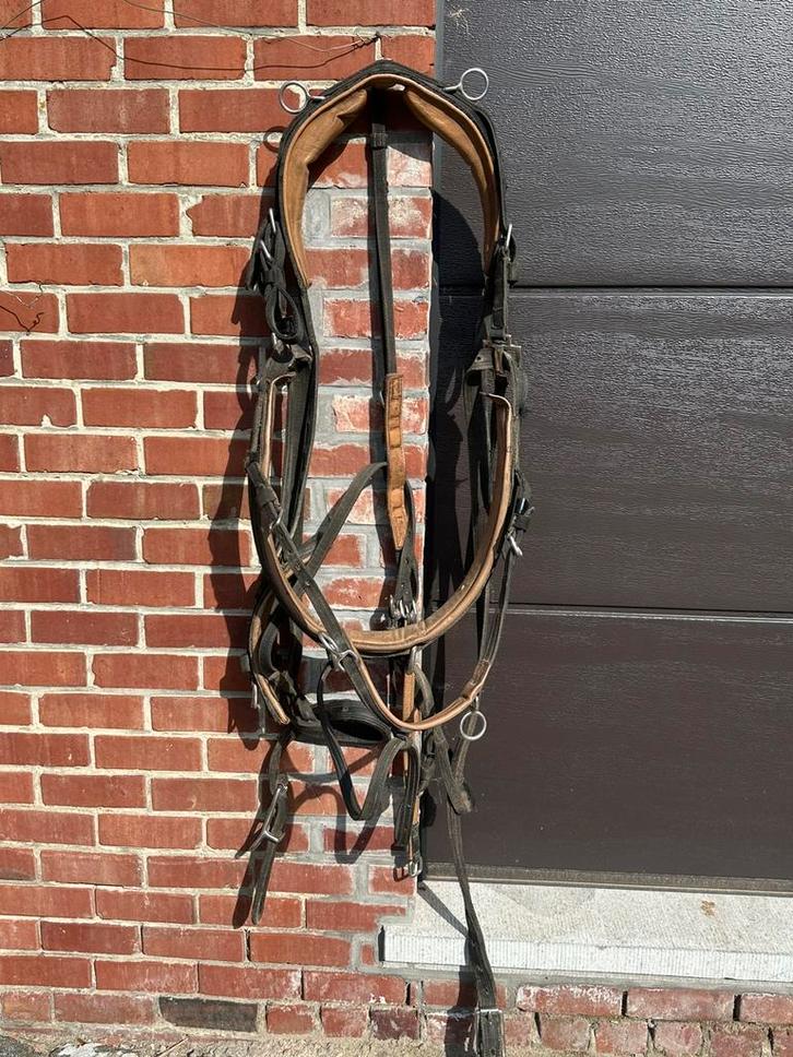 Enkel / dubbelspantuigen ideal cob, Animaux & Accessoires, Chevaux & Poneys | Brides & Harnachement, Utilisé, Enlèvement