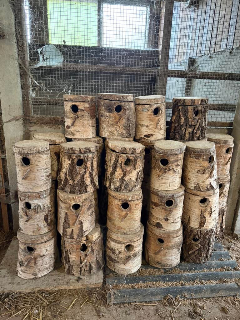 Vogelhuisjes, Jardin & Terrasse, Maisons & Bains d'oiseaux, Enlèvement