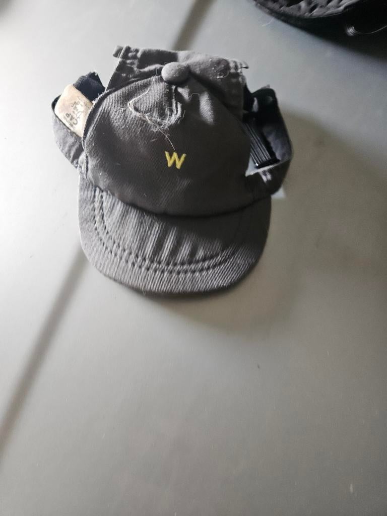 Chapeau pour chien en très bon état, Enlèvement