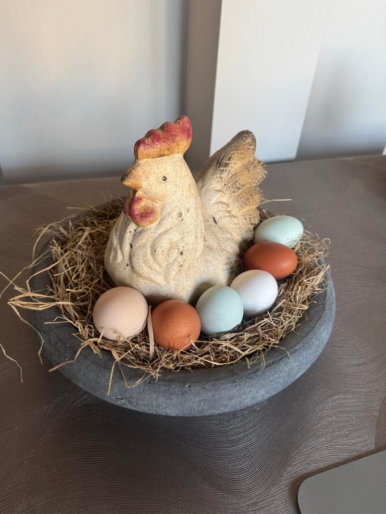 Bio eieren, Animaux & Accessoires, Volatiles | Accessoires, Enlèvement, Neuf