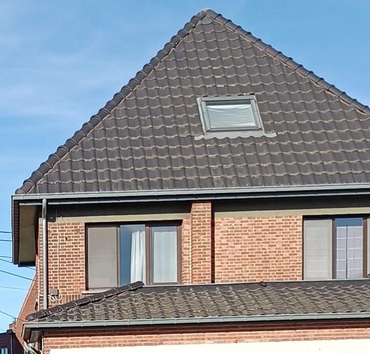 Dakpannen/nokpanne en meer, Enlèvement, Tuiles