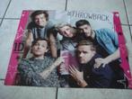 4XA4 Poster One Direction/Why don't we, Ophalen of Verzenden