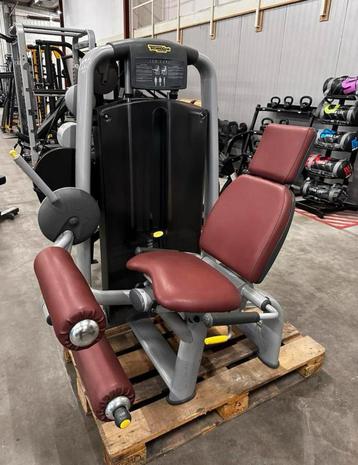 Technogym Selection Line Leg Curl beschikbaar voor biedingen
