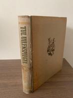 De waarachtige historie van Tijl Uilenspiegel in Vlaanderen, Antiek en Kunst, Ophalen of Verzenden