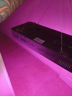 Grote kweeklamp, Ophalen of Verzenden