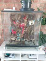 Terrarium, Ophalen, Gebruikt, Terrarium of Paludarium