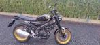 Yamaha xsr Legacy 125 cc, Motoren, Motoren | Yamaha, Particulier